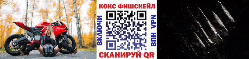 Cocaine FishScale  Ефремов 