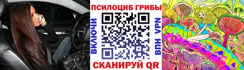 Галлюциногенные грибы Psilocybine cubensis  Ефремов 